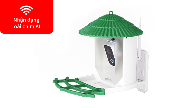 Nhận dạng loài chim AI  CB55P