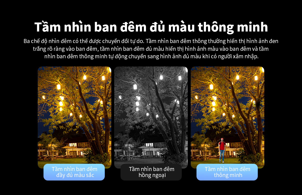 CS613越南1208_08.jpg