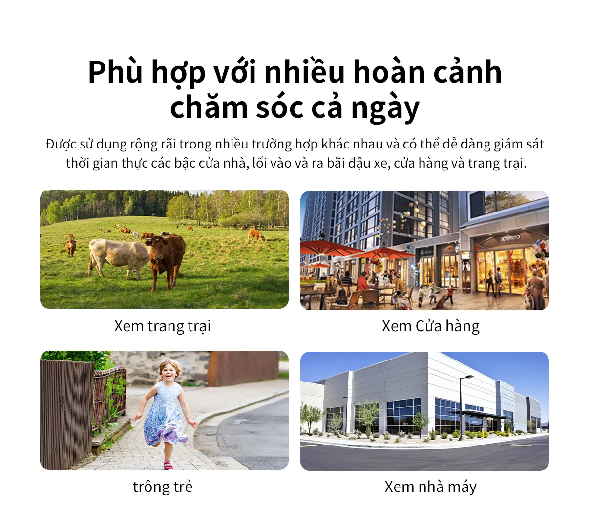 CB554越南1208_15.jpg