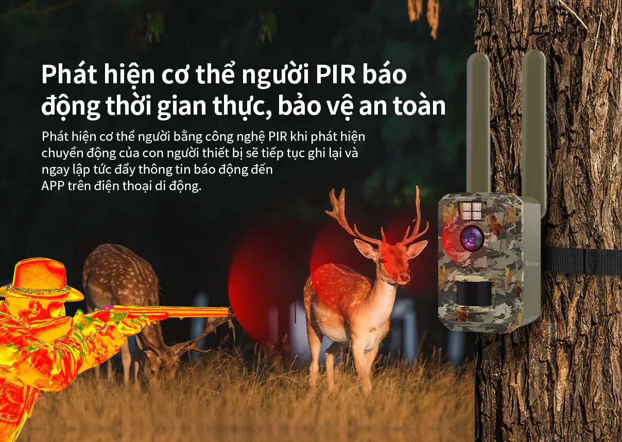 BG58越南1208_06.jpg