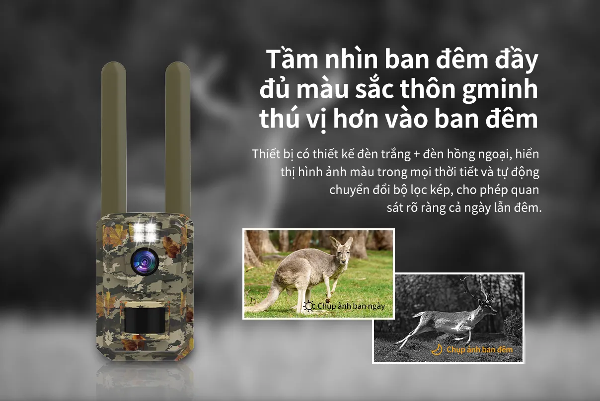 BG58越南1208_10.jpg